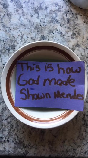 Shawn Mendes on TikTok