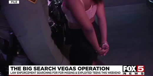 The Big Search Vegas Operation