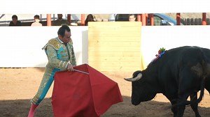 4.1K views · 27 reactions | “Aquí no se mata al Toro” Una fiesta taurina donde la celebración va más allá de la tradicional corrida de toros. No se pierda este jueves una fiesta brava sin sangre en el reportaje especial ‘Toros en la Gloria’ con Héctor Severeyn a las 5PM y 10PM por #telemundo40 #Telemundo40 #reportajeespecial #corridadetoros | Telemundo 40 | Facebook