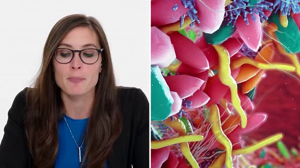 1.3K views · 13 reactions | 生物科学者のアンドレア･ラブが「Tech Support」に再度登場。インターネット上の疑似科学に関する質問に回答する。#テックサポート #Tech Support | WIRED.jp | Facebook