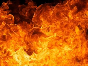 Major Brush Fire Burns 15 Acres Of Valley Forge Along Route 422