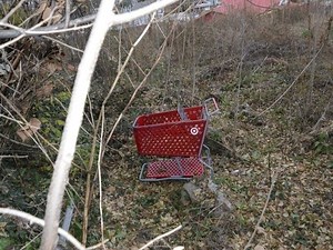 VA Shopping Cart Serial Killer: 4 Victims Found, More Suspected