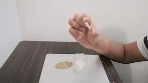 2.7K views · 41 reactions | Barya Asin at dahon ng Laurel magugulat sa hatod nitong suwerte | PhilippineOne | Facebook