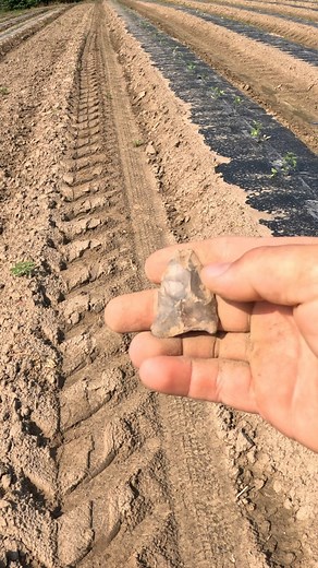 P.A. ancient history. finding Arrowheads. If you'd like to join my Facebook group follow the little blow. https://www.facebook.com/groups/1873414519562081 I'm slowly adding my content directly to Facebook if Youd like the follow me there, follow the link below https://www.facebook.com/profile.php?... I have joined Tik Tok Follow me there with the link below https://www.tiktok.com/@shawnsamateurarchaeology?is_from_webapp=1&sender_device=pc subscribe to me on youtube with the link below https://ww