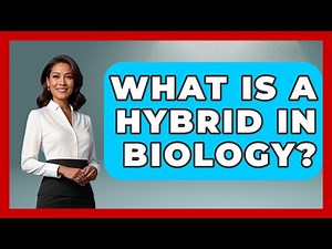 What Is A Hybrid In Biology? - Biology For Everyone