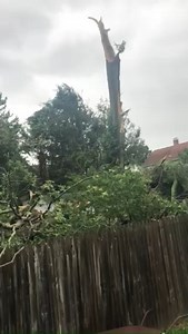 Sophia sent this video of damage on Marmor Court in Wethersfield. #Share61 | FOX61 | Facebook