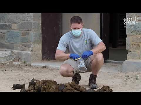 What happens to elephant poo at the zoo?