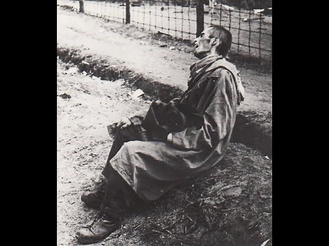 SI C'EST UN HOMME - PRIMO LEVI