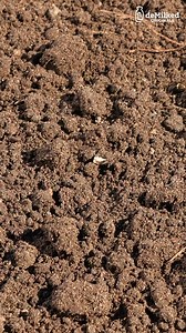 DIY Pipe Repair Tip | DeMilked