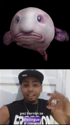 Los peces más feos y extraños de todo el mundo #shorts