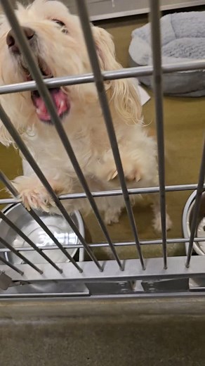 72 reactions · 11 comments | MARCUS #A543003 (Moreno Valley, CA)...