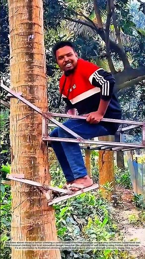 The benefits of this coconut climbing tool