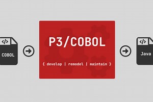 IDE for COBOL to Java Remodeling