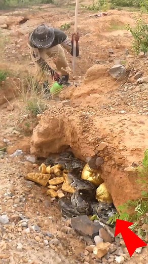 5.4M views · 50K reactions | 95-find a mysterious treasure in a deadliest mounta #gold #treasure #treasurehunt #snake #viralreelsシ | HOME GOLD | Facebook