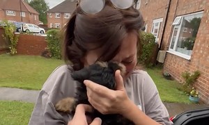 Woman’s Dream Comes True With Surprise Puppy Reveal