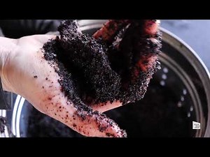 How to Grow Oyster Mushrooms in a Bucket