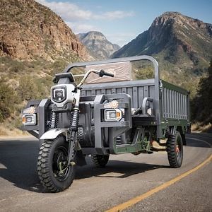 [Hot Item] All-Terrain Electric Freight Trike with Excellent Shock Absorption