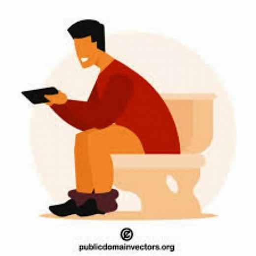 Sound of poop falling in the toilet