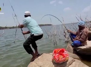 22K views · 1.5K reactions | Fishing with hook hunting rohu fish #fish #fishing | Underground Hunter | Facebook