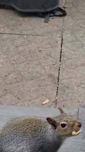 32K views · 4K reactions | Sweet, shy Chanel never got much air-time...