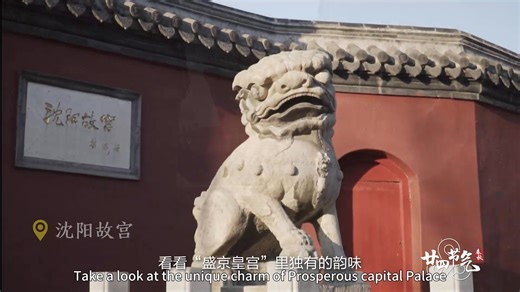 5K views | #Spring24SolarTerms Winter Solstice | Spring Airlines | Facebook