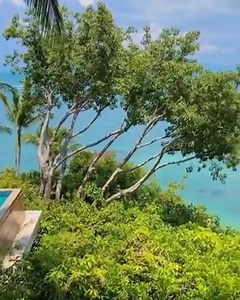 Se réveiller ici au paradis Bonjour  | Sol Palmeras Hotel | Facebook