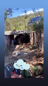 ឃើញវីដេអូនេះហើយរន្ធត់ចិត្តណាស់ពួកអាសត្វនេះវាគ្មានប្រណីទេ😭 | Ok Ok