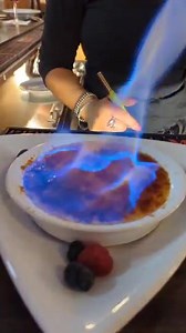 Timber Lodge Medina on Reels