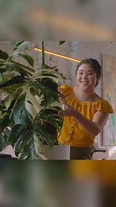 Member-owned means members first. | Digital Federal Credit Union