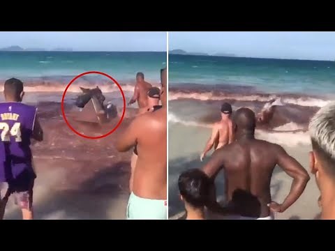 The Most Brutal Shark Attacks On Humans !
