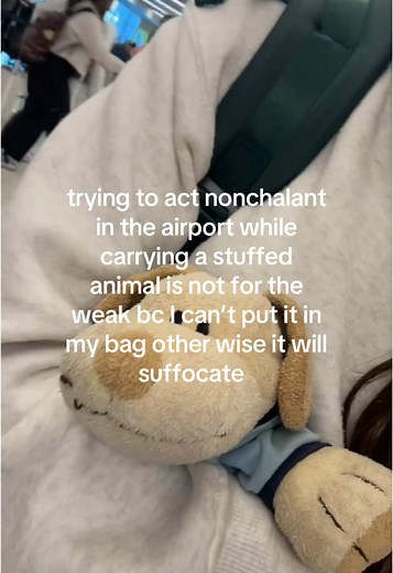 Girl's Airport Adventure with Stuffed Animals