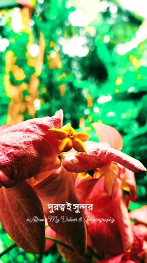 Sharmin Sultana Juthey on Reels