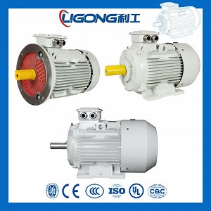 [Hot Item] 3-Phase AC Squirrel Cage Motor for Fish Press