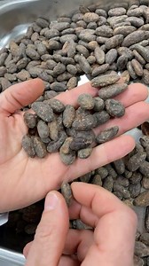 29 reactions · 3 comments | Bean to bar en Vakuum. Wet grinder: Twin stones de @100x100chef @lotroasters #vakuumlippo #martinlippo #chefstagram #chefsroll #cheflife #cheftalk #chocolate #chefschool #chefofinstagram #recipes | Chef Martin Lippo | Facebook