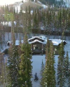 Been having trouble sleeping | Dan Bilzerian