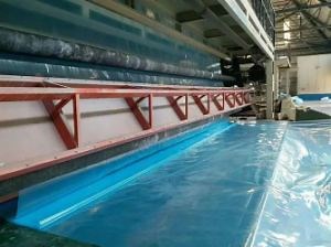 [Hot Item] Advanced Plastic Film Greenhouse Po Film PE/PVC Greenhouses Farming Shelter
