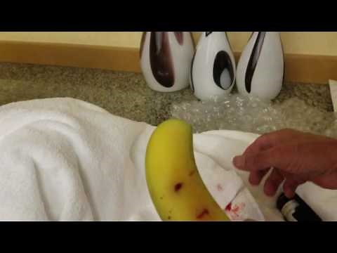 Ped-O-Jet Jet Injector gun demonstration