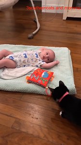 She steals his pacifier all the time #3southern #kristicates | Tiny But Mighty