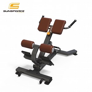 [Hot Item] Professional High-Quality Gym Free Weight Adjustable Back Extension Machine