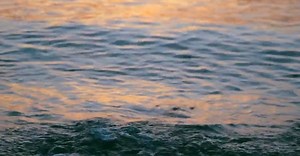 Video by Anna Tarazevich on Pexels