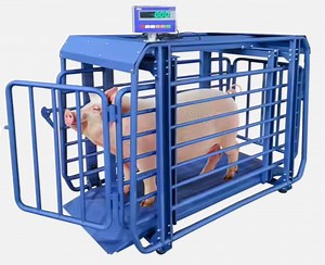 [Hot Item] Cheap Digital Electronic Camel Cattle Scale Livestock Weighing Scale for Pig Dog
