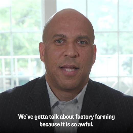 93K views · 1.6K reactions | Factory farms are bad for our farmers,...