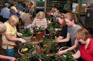 Garden Club in Bloom?