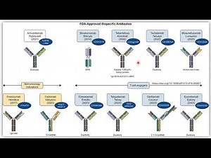 Fortunate Veda ADC CMC and RA Expectations