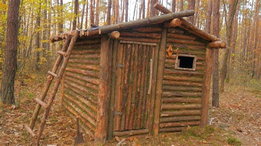 I built a house by myself in the forest made windows and doors and tiled the roof.#survival #adventure #wilderness #camping #bushcraftcamping #logcabin | Alan Bushcraft