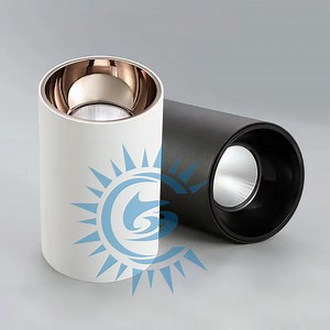 [Hot Item] High CRI COB Round Ceiling Recessed Down Light Spotlight LED Interior Downlight