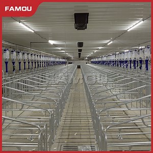 [Hot Item] Famou Poultry Farm House 80um Zinc Layer Pig Pen Design Pig Gestation Crate for Positioning Bar System