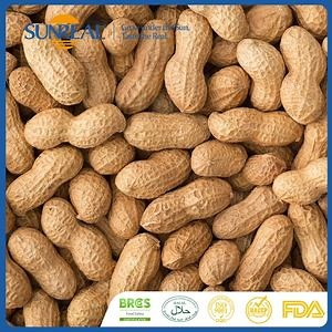 [Hot Item] Uniform Dry Matter Content in-Shell Kernel Hardness Balanced Raw Groundnut/Peanut