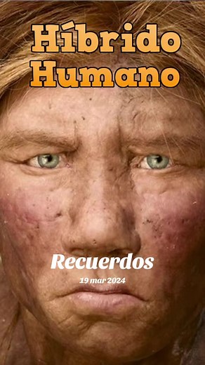 Hibridación Humana: Neanderthal y Homo Sapiens