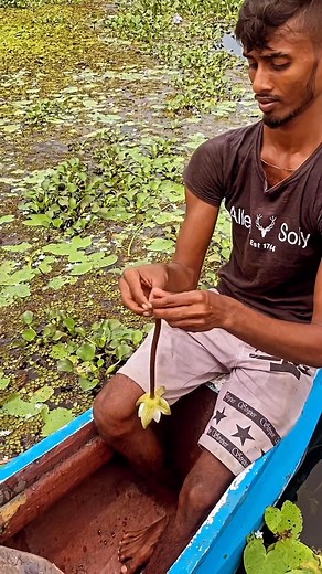 33K views · 685 reactions | magic of nature  #srilanka #nature #minneriya #villagesafari | Ramani Tours Sri Lanka | Facebook